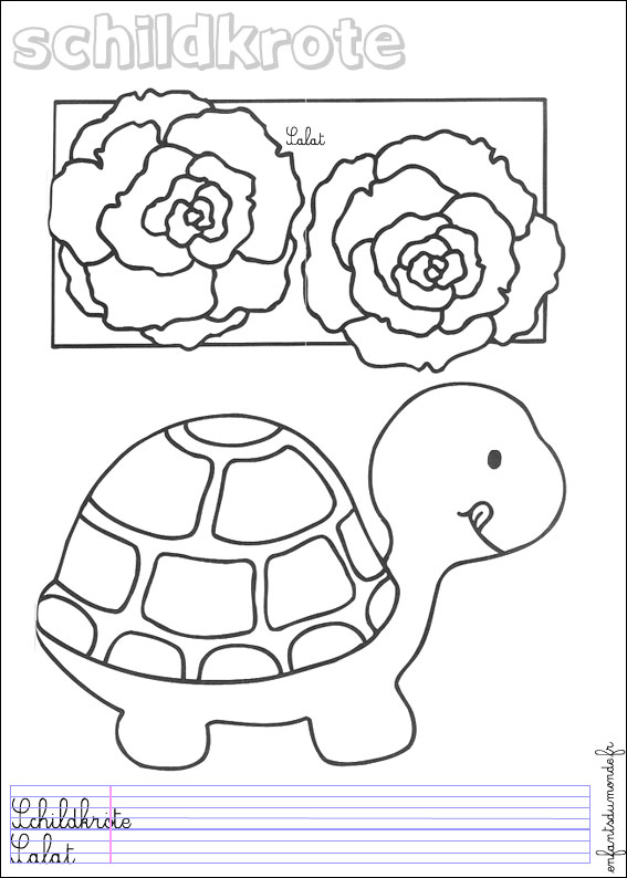 coloriage tortue 1